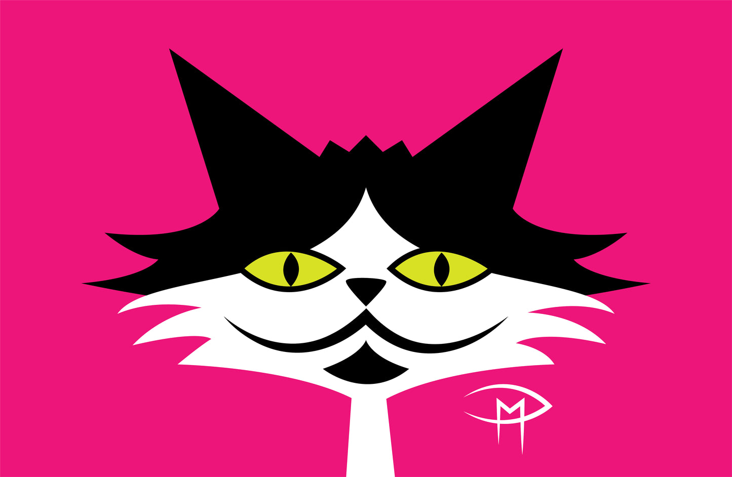 Black And White Cat Face Poster